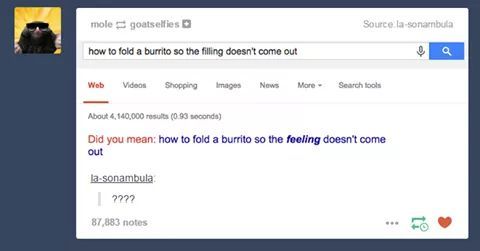 Burrito - meme