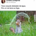 Esquilo avatar