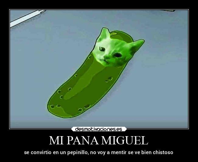 Pickle Miguel Pickle Miguel Pickle Miguel Pickle Miguel - meme