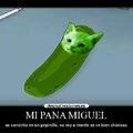 Pickle Miguel Pickle Miguel Pickle Miguel Pickle Miguel