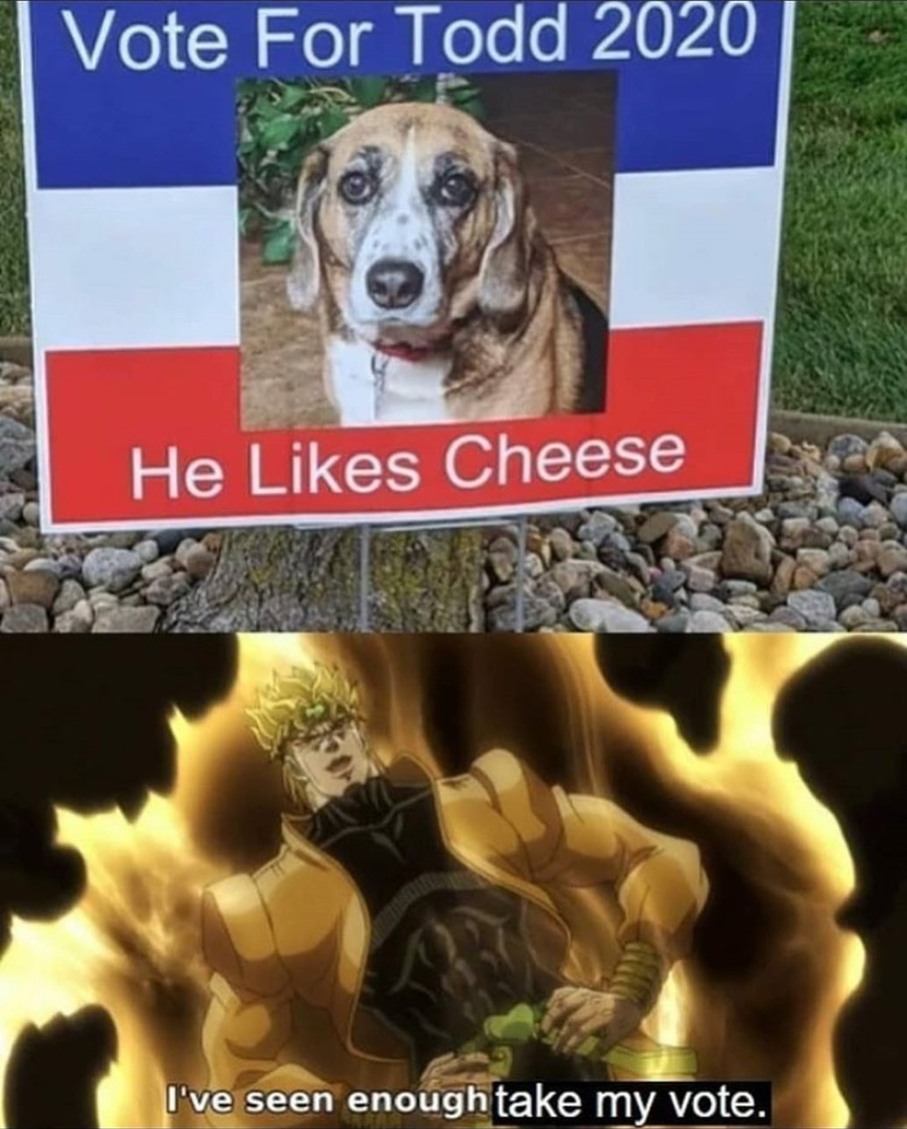 Cheese 4 todd - meme