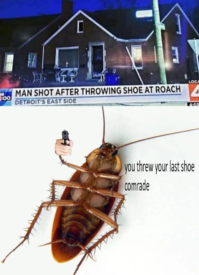 man shot after throwing shoe at roach - meme