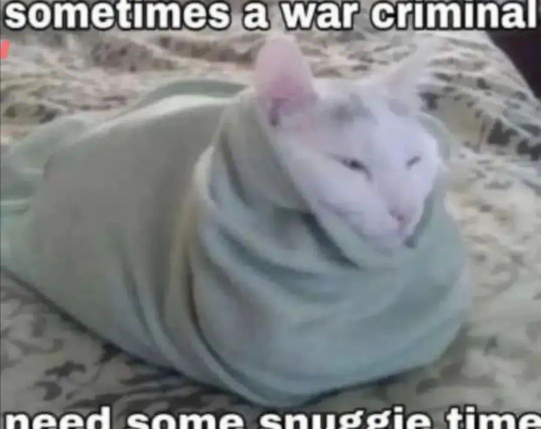 War criminals be cozy - meme