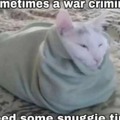 War criminals be cozy
