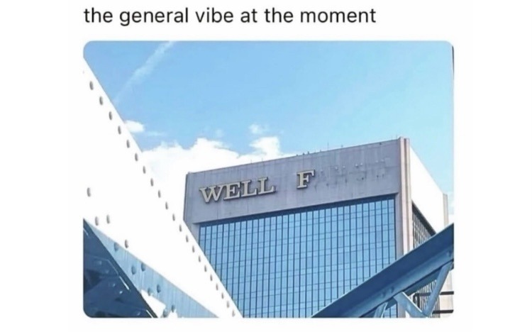 Everything is fine. By fine I mean... F WELL - meme