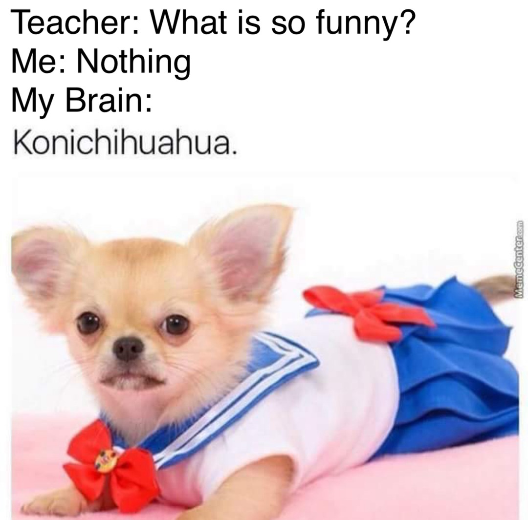 Shitpost #20 - meme