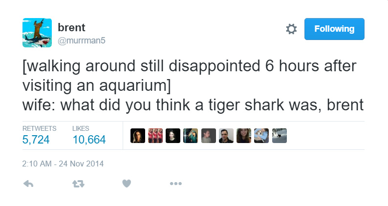Tigger shark - meme