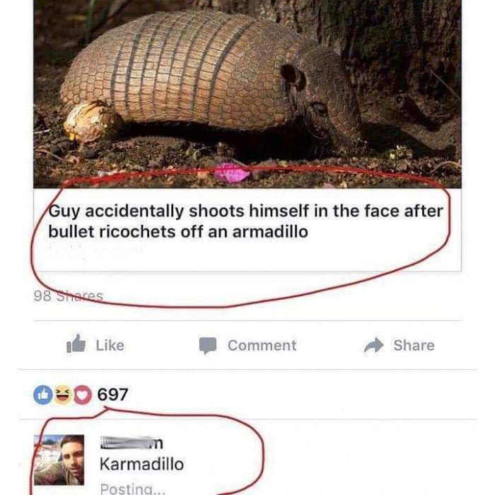 Karmadillo - meme