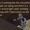 Just like in the simulations