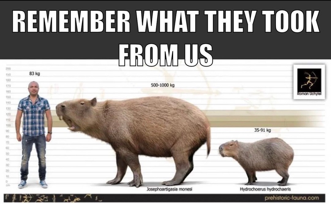 capybara - meme