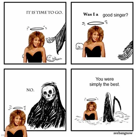 RIP Tina Turner - meme