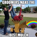 Groomers