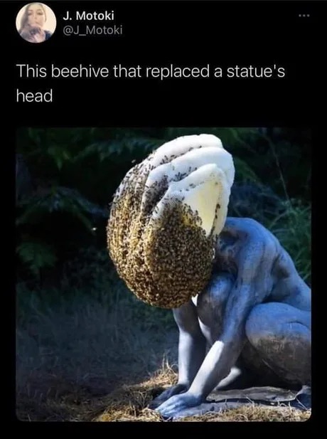 Bees creating art - meme