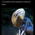 Bees creating art