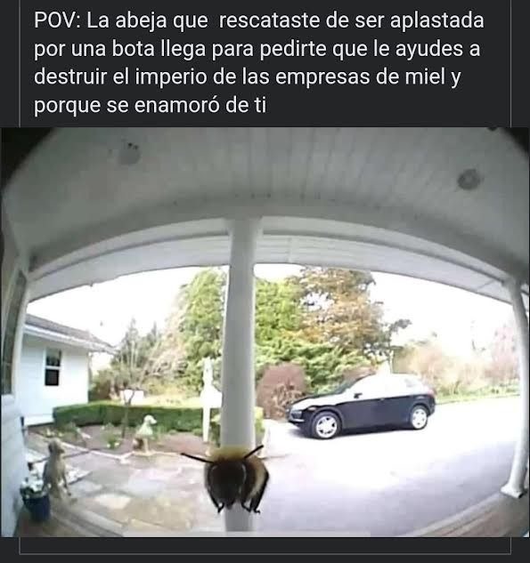 Apoyo la destrucción de las grandes empresas - meme