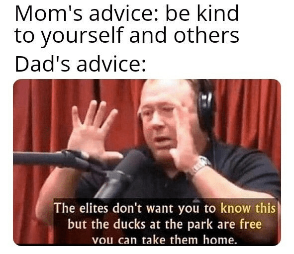 Call of Duck: Quack Ops - meme