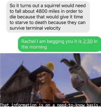C'mon Rachel - meme