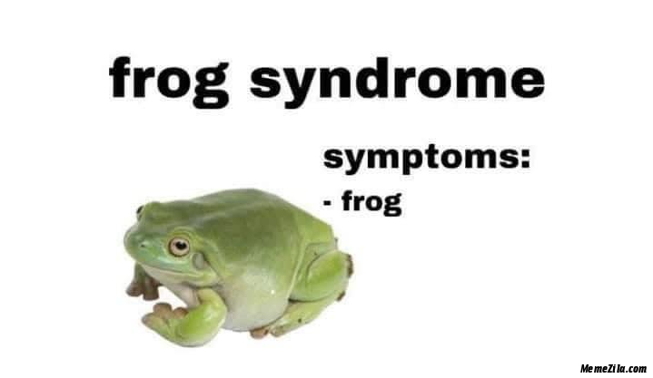 frog - meme