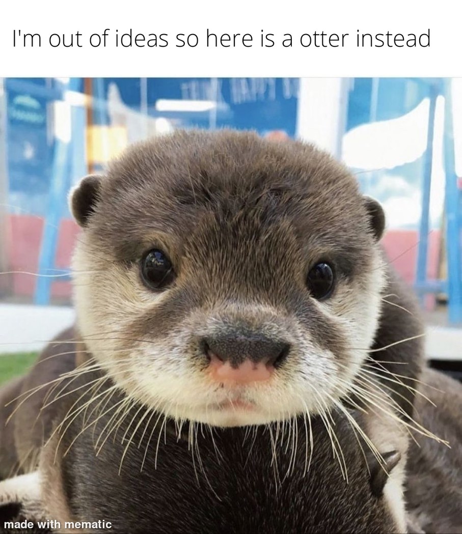 Otter - meme