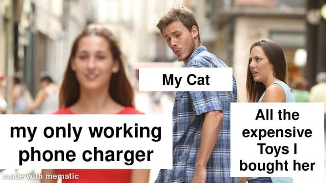 Cats and phone chargers - meme
