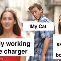 Cats and phone chargers