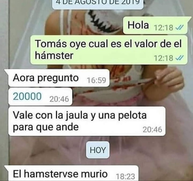 Hamstervse - meme