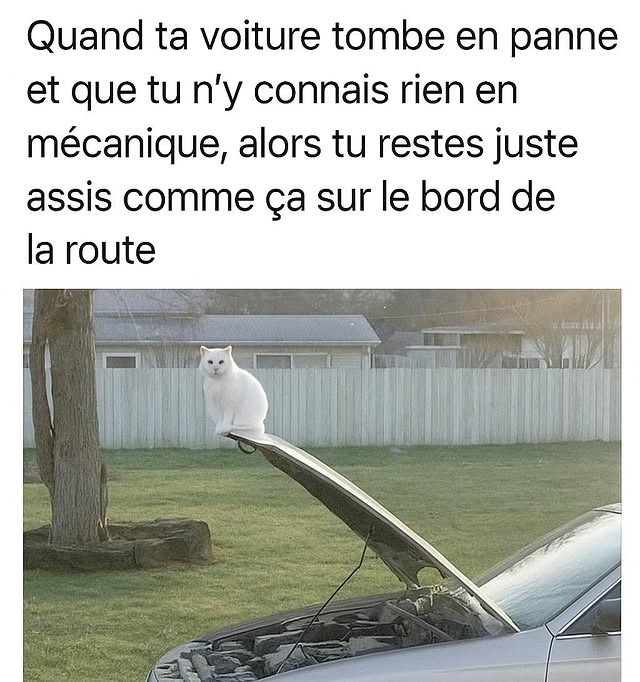 Ma voiture meurt et moi je médite en bord de route - meme