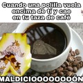 Café > K.O. > polilla