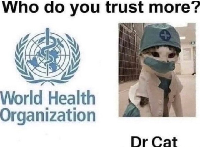 Dr Cat isn't into gene therapy - meme
