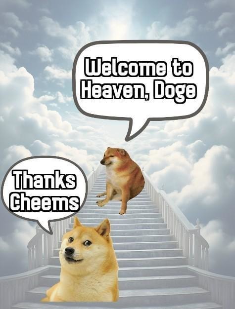 RIP Doge meme