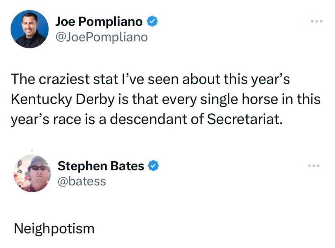 Kentucky Derby: all horses are Secretariat’s grandkids - meme