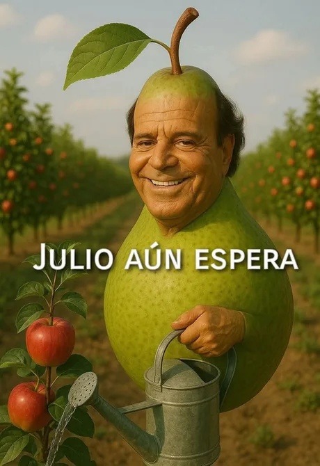 Julio sigue esperando... y tú también - meme
