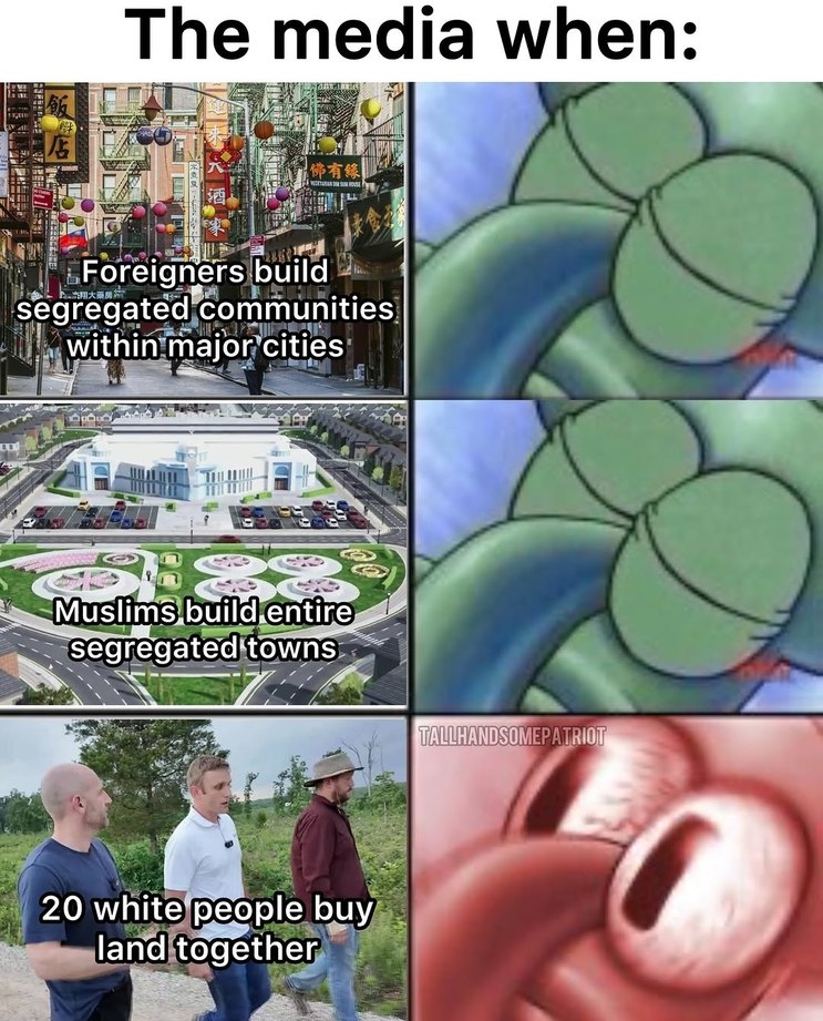 Media - meme