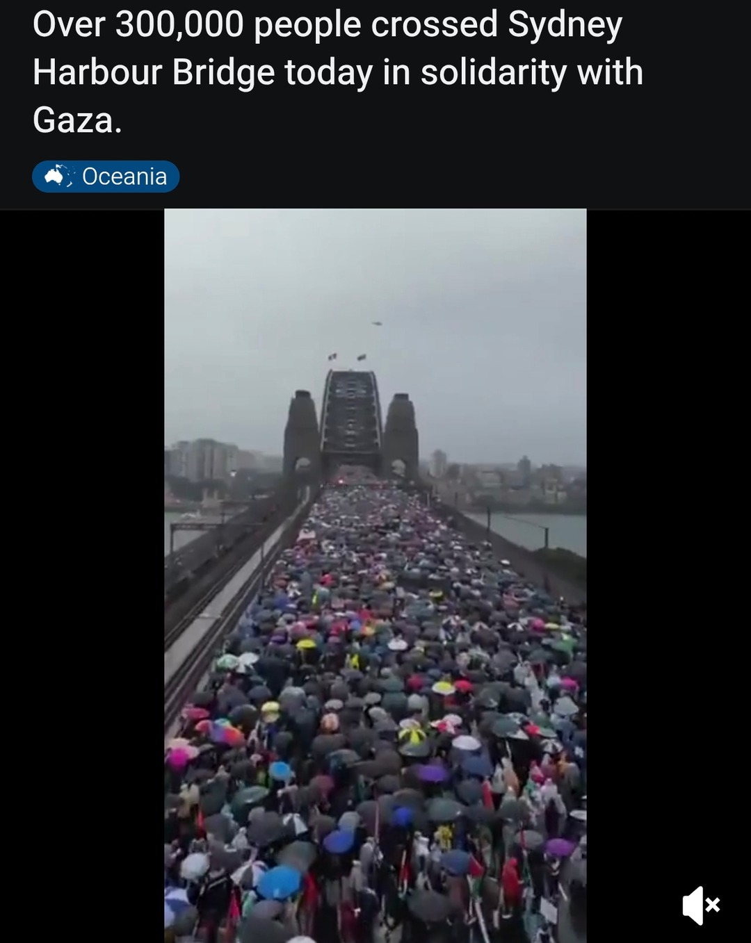300,000+ march across Sydney Bridge for Gaza - meme