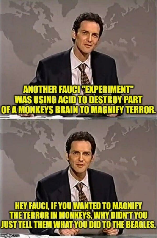 Why would you wanna magnify terror?.. hmmm.. - meme