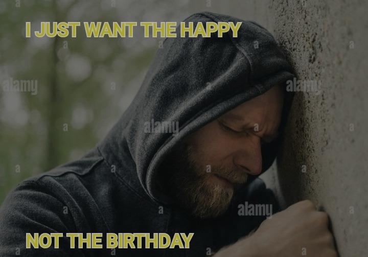 I just want the happy not the birthday - meme