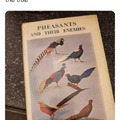 Pheasants and Their Enemies
