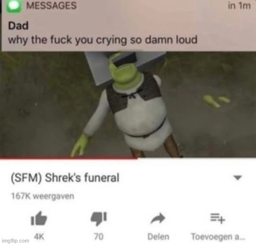 Shrek's funeral - meme