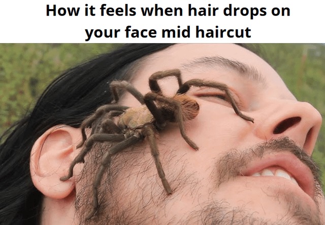 what it feels like - meme