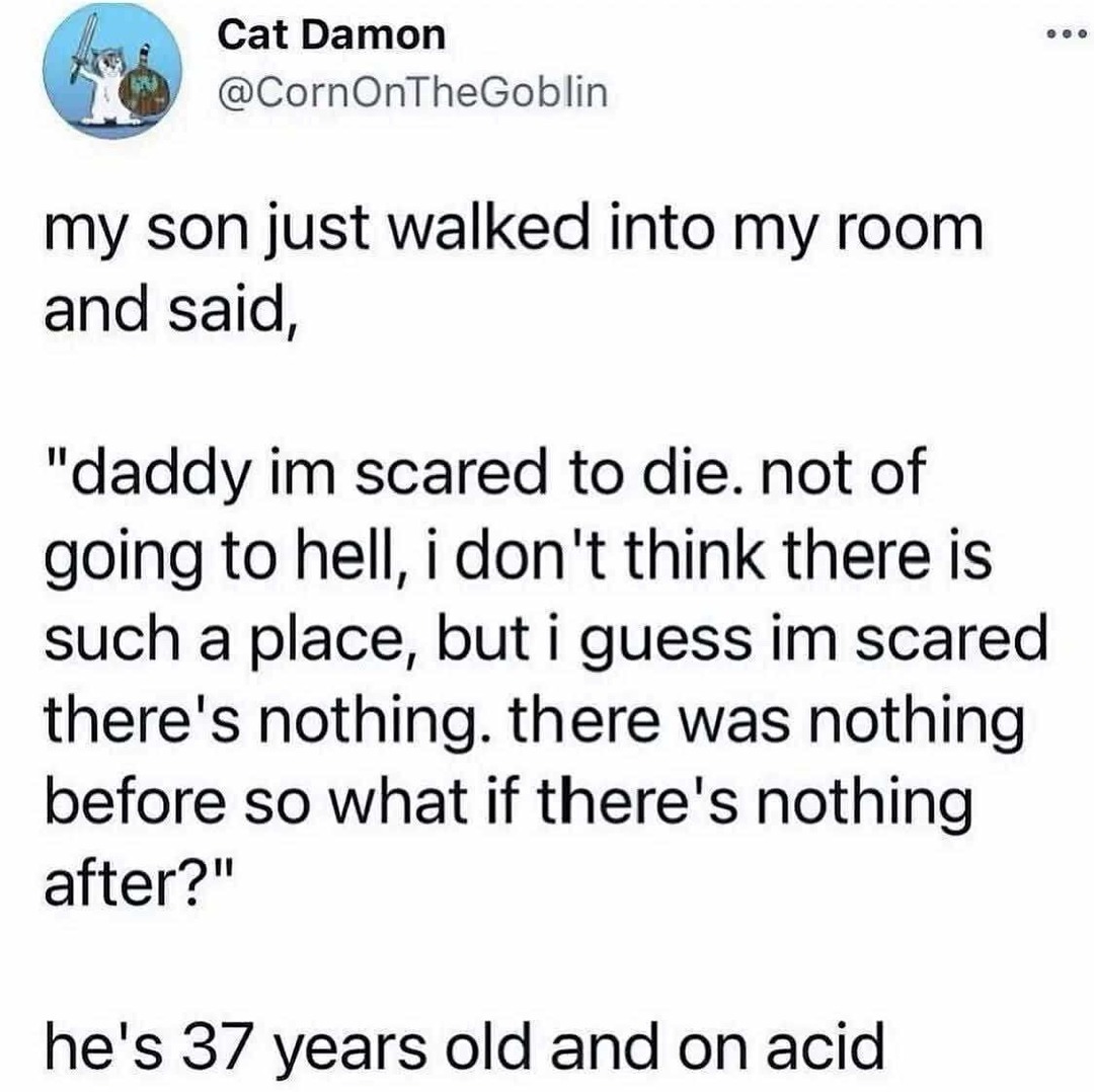 My son on acid just dropped a whole philosophy degree - meme