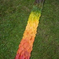 Paint with all the colors of the tree