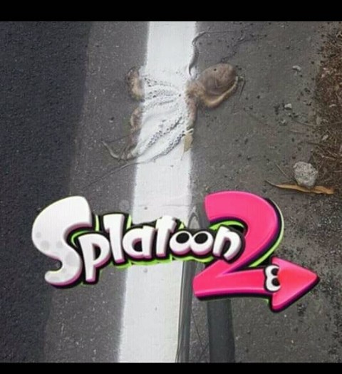 Splatoon 2 xdd - meme