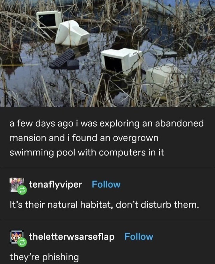 Computers - meme