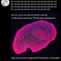 commented item thumbnail