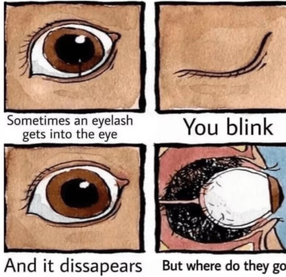 Don’t blink - meme