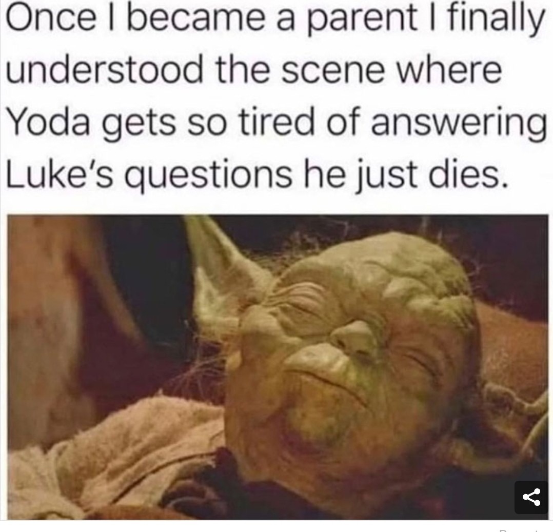 Wise Yoda is. - meme