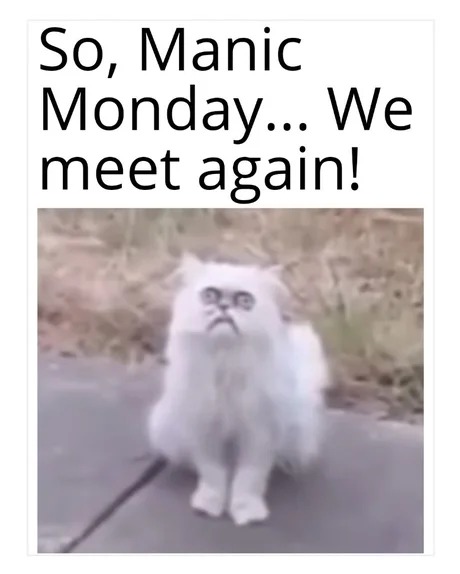 Manic Monday - meme