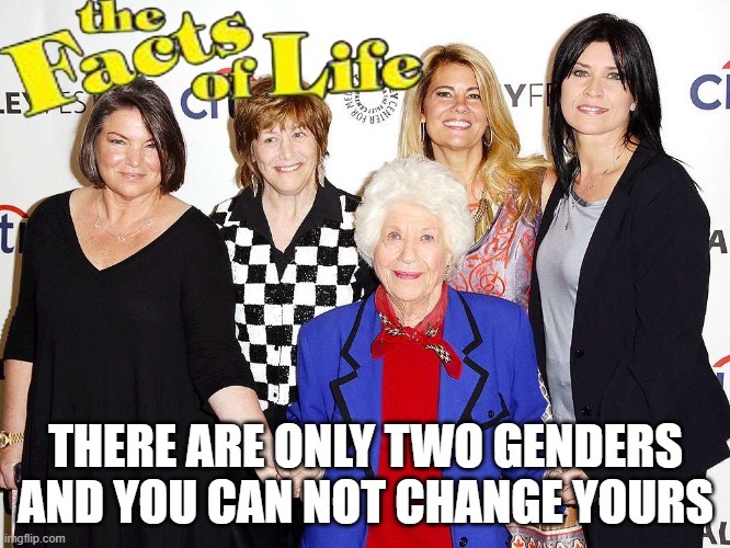 Facts of life - meme