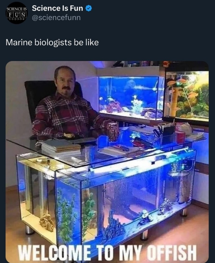Marine biologists working from home - meme