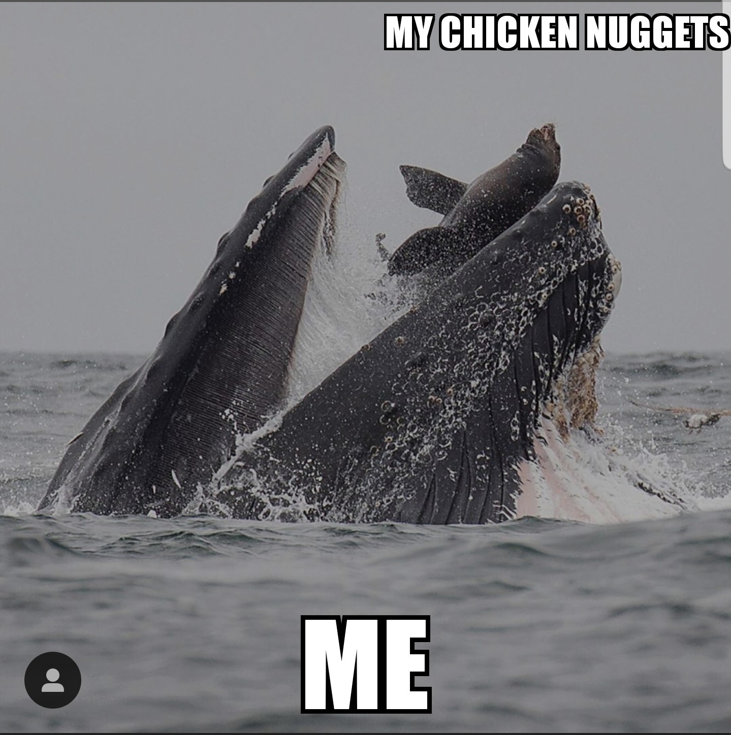 My Chicken Nuggets - meme